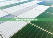 中国女足在比赛中展现出色实力