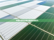 中国女足在比赛中展现出色实力