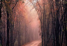 摩洛哥球员成为反种族歧视大使