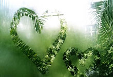 摩洛哥球员成为反种族歧视大使