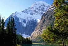 切尔西主场击败曼联，实现反弹