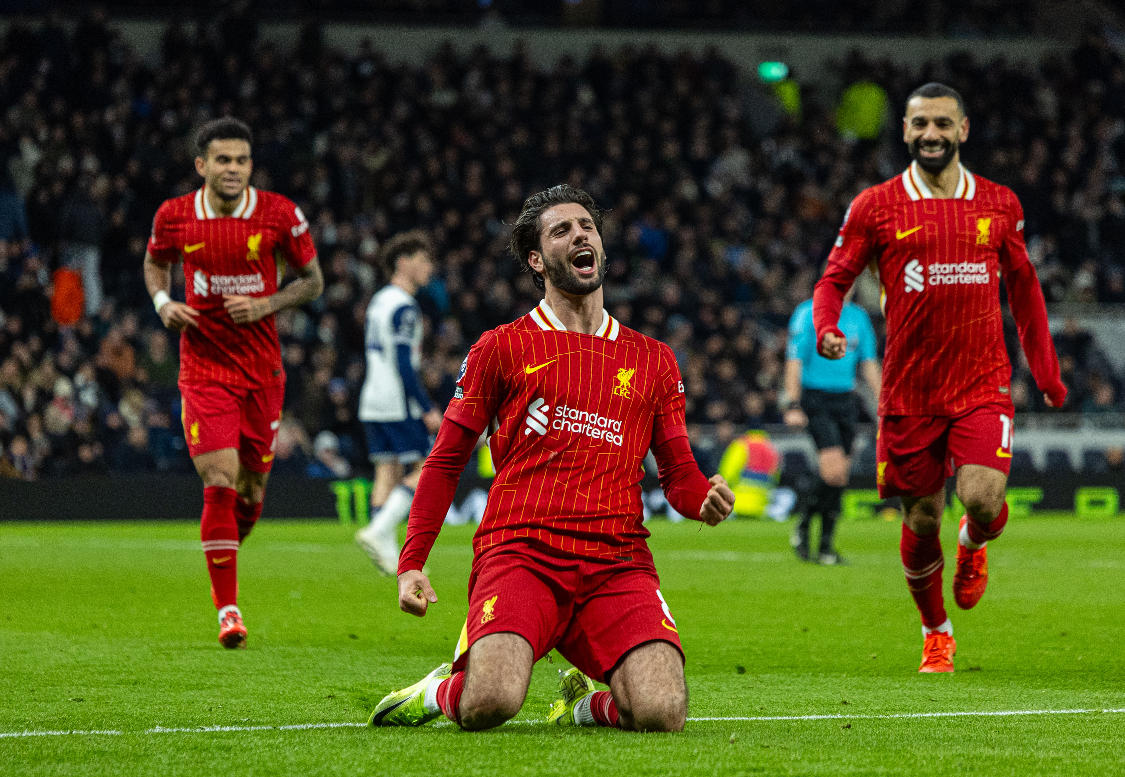 半岛官方体育登录入口-包含赫尔城主场击败热刺，取得宝贵胜利的词条